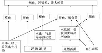 下图表示某生态系统发展过程中总数量