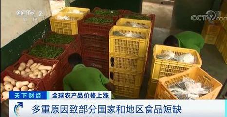 2020年全球食品价格总体上涨20%